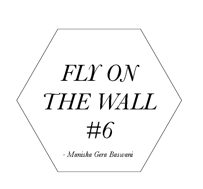 Fly on the Wall VI